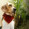 Calvin Ribeiro - @calvin_beagle - TikTok