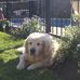 Calvin Eckert - Facebook