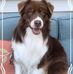 Calvin Edmonds - Facebook