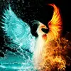 Calvin Forbes - @darkshadow.9647 - TikTok