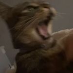 calvin foster - @calvin_uwu_69 - Instagram