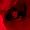 UnverifiedJonathan - @calvinfreezy - TikTok