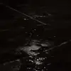 𝓒𝓪𝓵𝓿𝓲𝓷 - @calvin_green_19 - TikTok