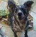 Calvin Hamby - Facebook