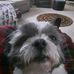 Kalvin Hamlin - Facebook