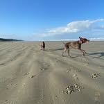 Calvin - @calvin.hamman - Instagram