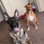 Calvin Hammond - @calvinhammond - Instagram