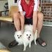 Calvin Han - Facebook