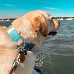 Calvin Coolidge Hansen - @calvin_c_hansen - Instagram