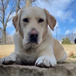 Calvin Hanson - @calvinhansonkc - Instagram