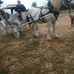 Calvin Harrell - Facebook