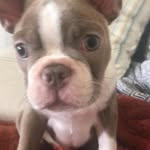 Calvin Hatcher - @calvin.hatcher12 - Instagram