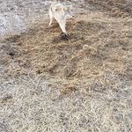 Calvin Hofer - @calvin.hofer.3538 - Instagram