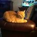 Calvin Holder - Facebook