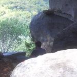 Calvin Holder - @calholistic - Instagram