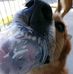 Calvin Holmes - Facebook