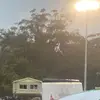 Calvin holt - @calvin.holt - TikTok