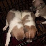 Calvin Hooker - @calvin.hooker.3 - Instagram