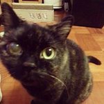 Calvin Ip - @calvin.ip1 - Instagram