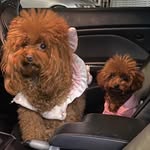 Calvin Ip - @calvinip819 - Instagram