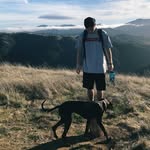 Calvin Jansen - @caljanfas281 - Instagram