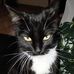 Calvin Judd - Facebook