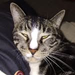 Calvin Judd - @calvinjudd5 - Instagram