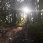 Calvin jason kessler - @calvink9717 - Instagram