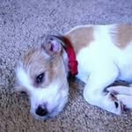 Calvin Kirsch - @calvin_kirsch - Instagram