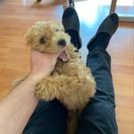 Calvin Kline - @lilcalvinkline - Instagram