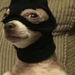 Calvin Kline - @calvinkline133 - Instagram