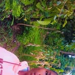 Kelvin Kosgei - Facebook