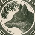 @calvin.laituri - Instagram