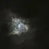 CJ - @calvinlaroche - TikTok