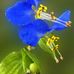 Calvin Ledner - Facebook