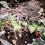 @calvin_lambert - Instagram