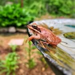 @calvin.lemon122727 - Instagram