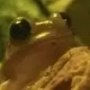 calvin - @calvin.logan - TikTok