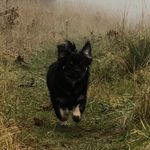 Calvin Logan Parker - @calvin_logan_parker - Instagram