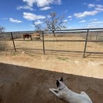 Calvin Malone - Facebook
