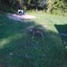 Calvin Manning - Facebook