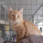 @calvin_marvin.pique - Instagram
