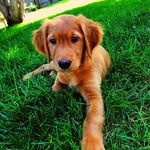 Calvin Jackson - @calvin_nation - Instagram