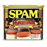 Calvin J. Pettit’s WACKY Spam Page - @calvinj.pettitswackyspampage - Instagram