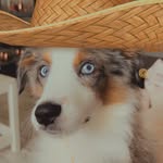 Calvin Page - @addingapage_ - Instagram