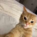 Calvin - @calvin_pakaya - Instagram