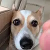 calvinpeck2 - @calvinpeck2 - TikTok