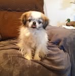 Calvin Peebles - Facebook