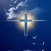 Calvinp.,., - @calvinperry716 - TikTok