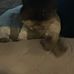 Calvin Pham - Facebook